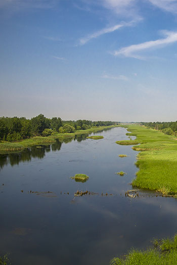 濕地生態環境監測系統方案